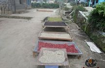 Sumatra Coffee Tour