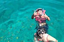 Phi Phi Happy Day Boat Tours