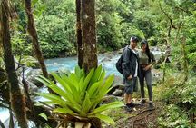 Sloth encounter, Waterfall & Horseback Riding at the Rain Forest