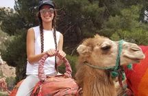 Atlas mountains day Trip from marrakech 