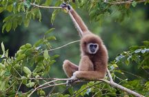 Ang Thong National Marine Park Tour by Big Boat from Koh Samui