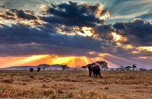 6 Days / 5 Nights Join group safari
