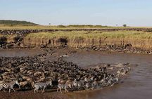 6 Days / 5 Nights Join group safari
