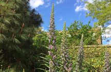 Secret Gardens of London Private Tour