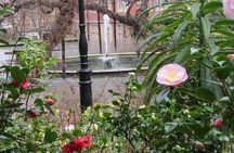 Secret Gardens of London Private Tour