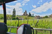 Medieval Villages and Wine Tasting from Strasbourg