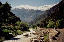 Marrakech : 1-Day Trip to the Ourika Valley