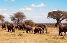 5 days Tanzania wilderness Camping tour.