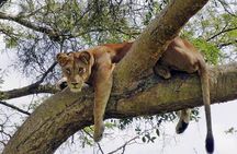 9 Days / 8 Nights Join group Safari 