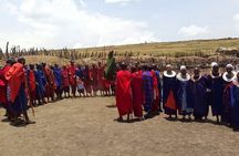 9 Days / 8 Nights Join group Safari 