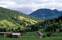 Magic of Alps, Triglav NP with Lake Bohinj & Waterfall Savica, HD Trip from Ljub