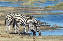 2 Days Lodge Safari – Tarangire & Ngorongoro Crater