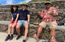 Small Group North Shore Circle Island Tour Oahu