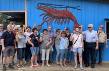 Oahu Island Highlights in Small Group | 30 Spots | ~10 Stops