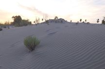 Private All-Inclusive Sandbanks Tours (2 Day Camp)