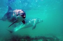 3-Day Open Water Dive Course 