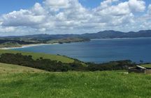 Tāwharanui- Get away from it all and experience New Zealand at its best - private tour