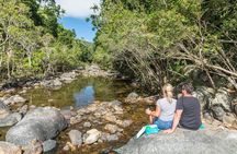Whitsunday Segway Rainforest Discovery Tour