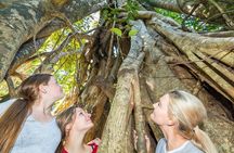 Whitsunday Segway Rainforest Discovery Tour