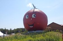 Private All-Inclusive Sandbanks Tours (2 Day Camp)