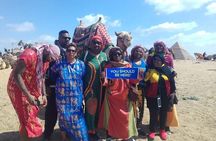 Private Tour: Giza pyramids and Saqqara and Memphis & Camel Ride