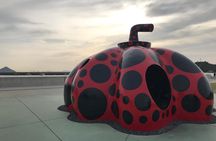 Guided Tour to Naoshima, Art, Island with a private car