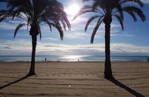 Alicante Highlights Small Group Tour with Castle
