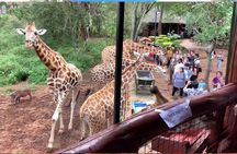  half Day TOURS/NAIROBI NATIONAL PARK/ELEPHANT & GIRAFFE CENTRE