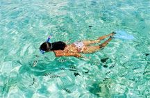 Private Boat Full Day Swimming With Dolphins Trip - Hurghada