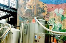 Mexican Craft Beer Tasting Experience