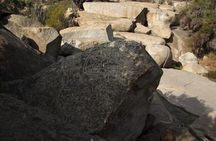 Valdivian Forest, Fray Jorge National Park and Valle del Encanto -Full day