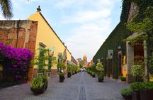 José Cuervo Tequila Day Experience from Guadalajara