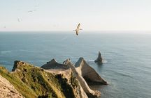 Gannet Safaris Overland tour to Cape Kidnappers Gannet Colony