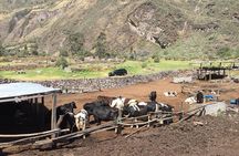 Lima Mountains - Cataract of Matucana