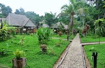 4-Day Jungle of Peru Tambopata Nature Reserve