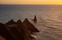 Exclusive SUNRISE tour to Cape Kidnappers
