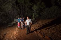 Alice Springs Desert Park Nocturnal Tour