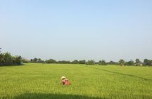 Private Full-day Mekong Tour From Ho Chi Minh City, Including River Cruise