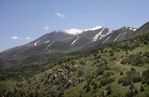 Trekking in Aksu-Zhabagly nature reserve (2 days)