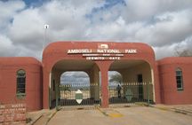 Amboseli national park private Day tour from Nairobi