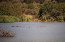 Nairobi Half day top tour attractions for travellers