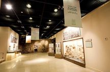 Half Day Amman Private City Tour 
