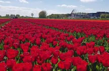 Keukenhof & FlowerFarm Tour From Amsterdam Skip-The-Line tickets