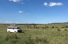 3 days Masai Mara 