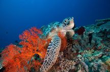 Gili Hai 3 Islands BBQ Cruise