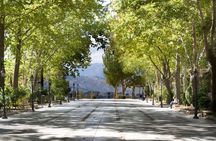 Ronda and White Villages from Seville