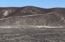  Palpa and Nazca Lines one-hour flight private service 