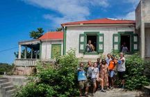 St.Martin-St.Maarten: Small Group, History Tour