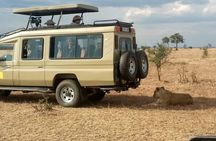 Explore the Big 5 Tanzania Safari 4 days / 3 nights