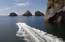 1-Hour Small Group Sightseeing Boat Tour in Vestmannaeyjar